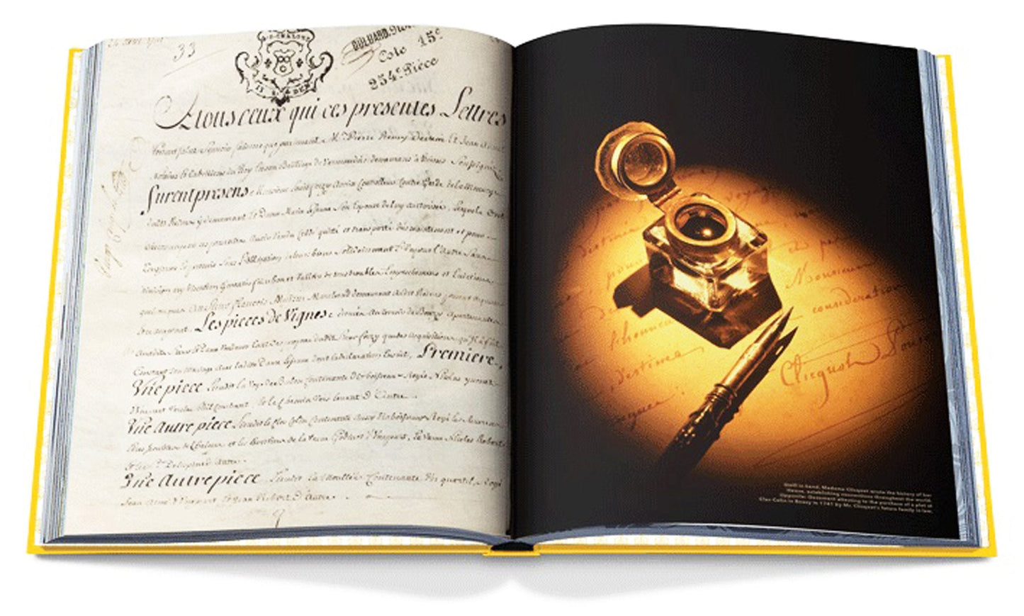 VEUVE CLICQUOT COFFEE TABLE BOOK